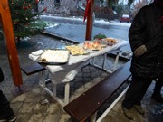 Rozsvícení stromečku v obci Vlkava